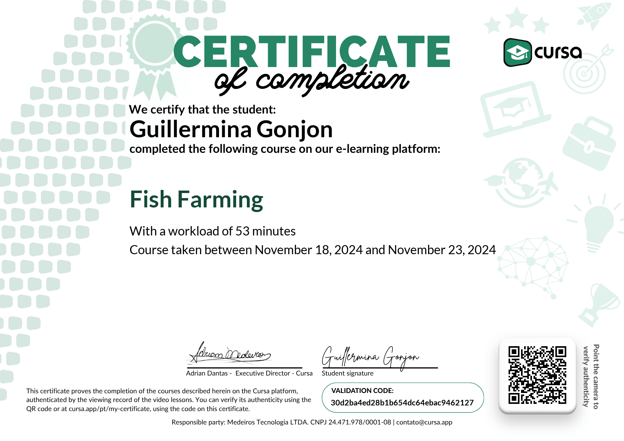 Image of my free Course Completion Certificate.